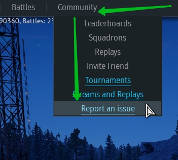 bug_report1.jpg